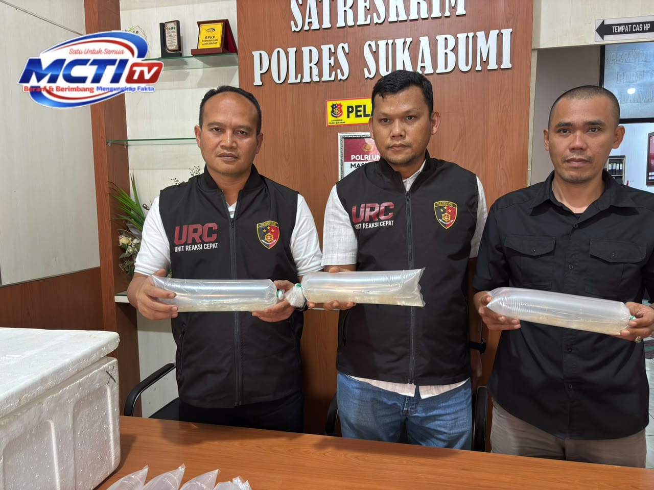 Polres Sukabumi Lepaskan 59.980 Benih Bening Lobster ke Laut, Wujud Komitmen Jaga Kelestarian Ekosistem